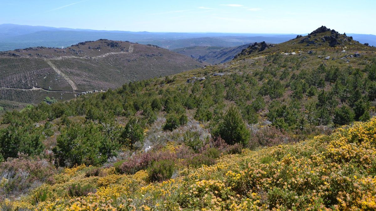 Sierra de la Parada, en la Alta Sanabria