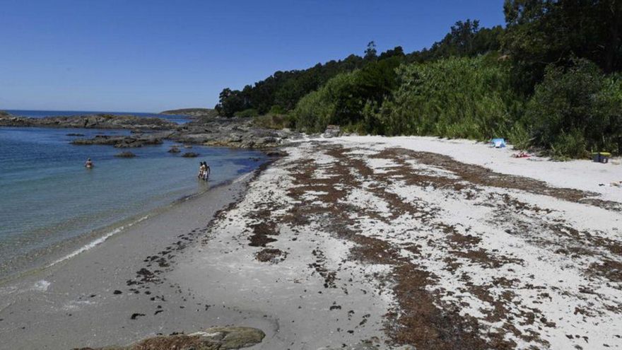 Quejas en la playa de Portocelo por la acumulación de algas