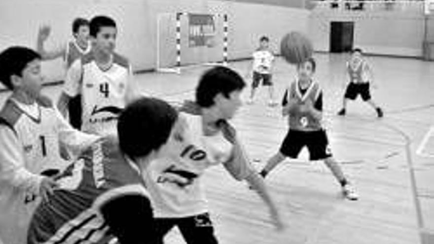 El minibasket disfruta de su ´fiesta competitiva´