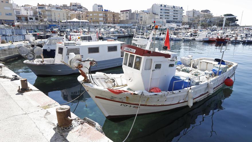 Es prolonga el buit legal del Club Nàutic Costa Brava-Vela Palamós