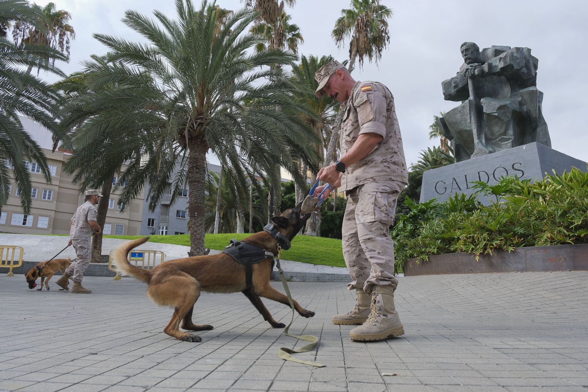 El Mando Naval de Canarias presenta los actos que realizará con motivo de la celebración del 12 de octubre