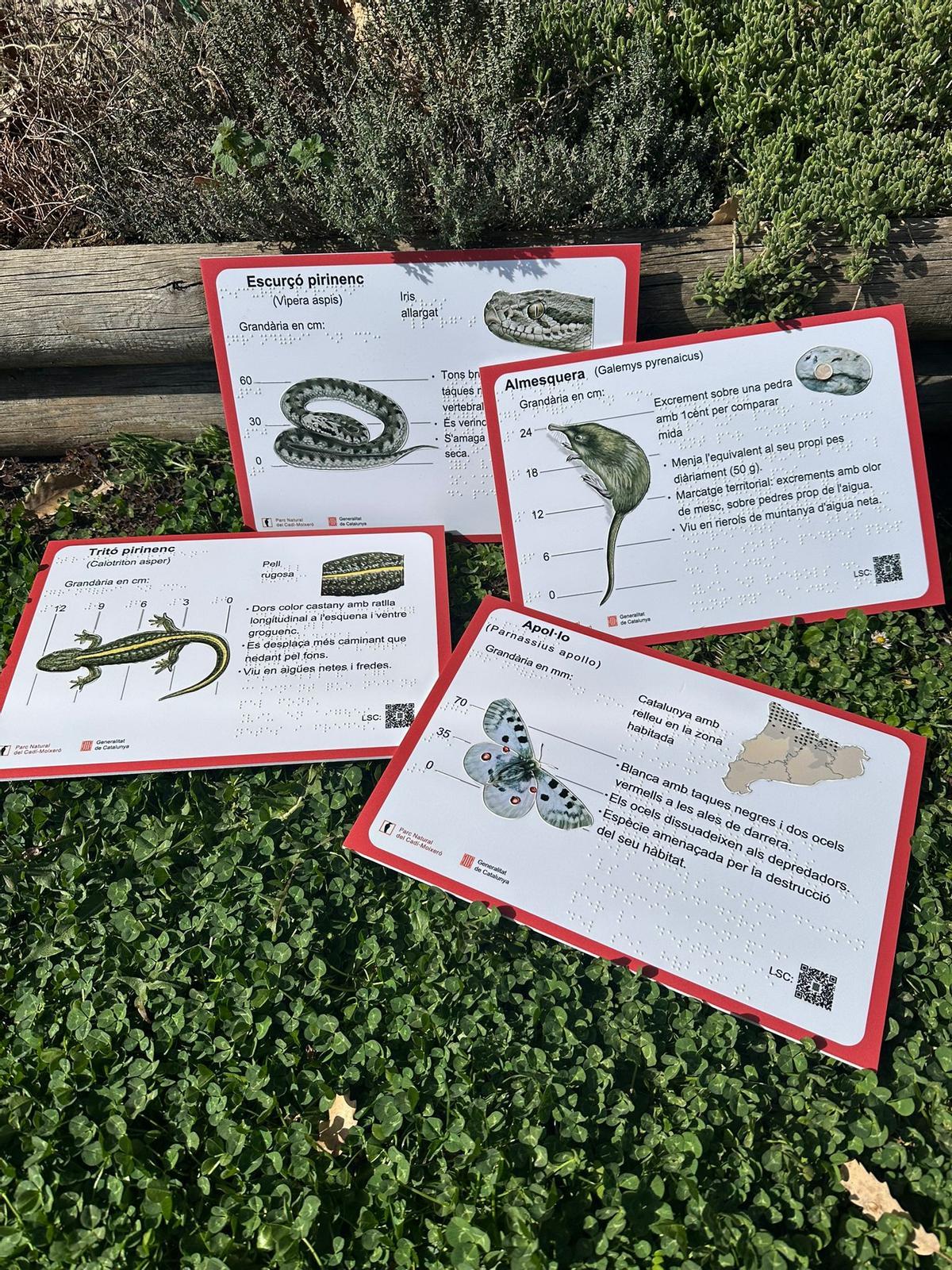 Guies adaptades per a persones cegues