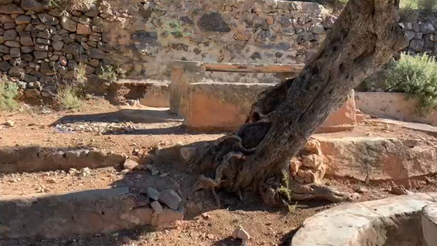 Voluntarios repararán los daños de unos vándalos en la finca 'El Romeral' de la Vall