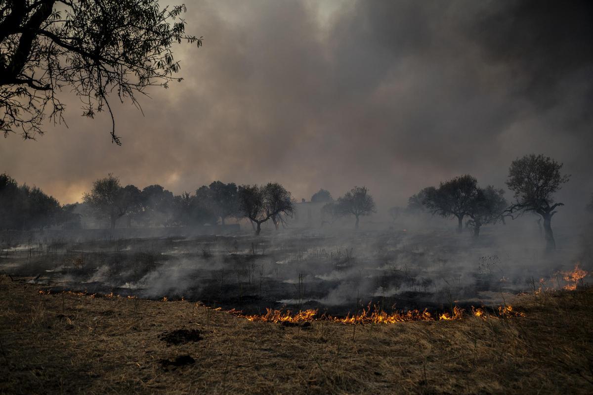 FOTOGALERÍA | Las imágenes del incendio de Arroyo de la Luz