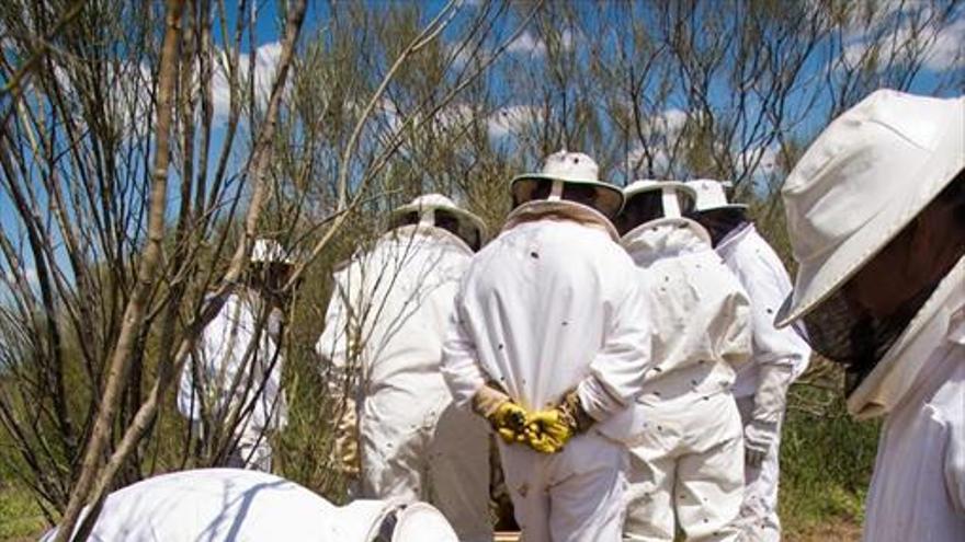 UPA y Asaja piden cambiar la ordenanza que regula la trashumancia de colmenas