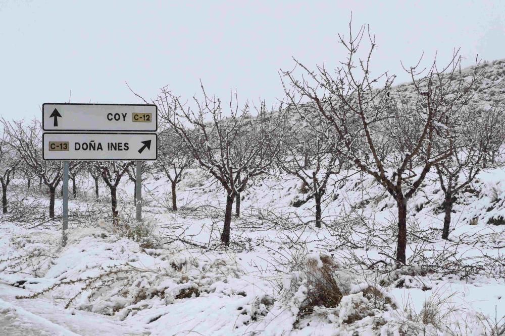 Nieve en Coy, Lorca