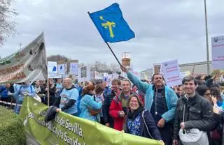 Así suena la canción con la que los veterinarios asturianos llaman a movilizarse el día 23 en Oviedo: "La salud animal no se regula con esposas en las manos"