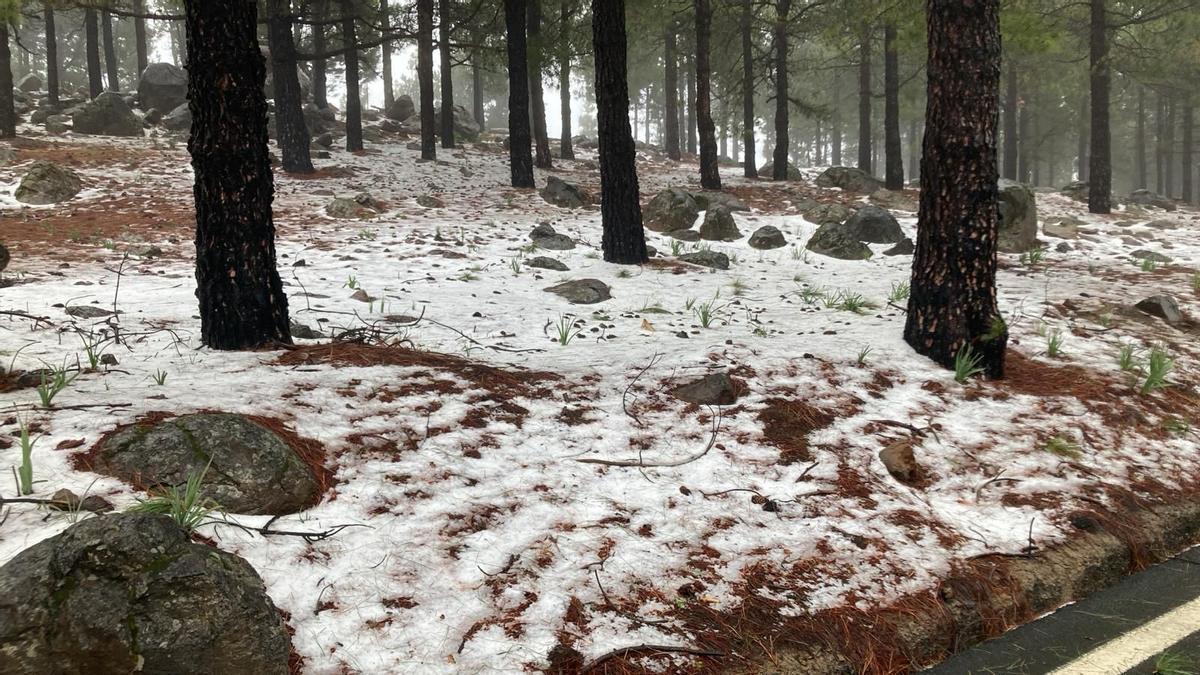 Nieve en el Pico de Las Nieves, en Gran Canaria, tras el paso de la borrasca Regina (04/03/2026)