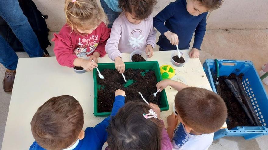 Los niños aprenden el ciclo vital de las plantas de forma práctica. | L.O.