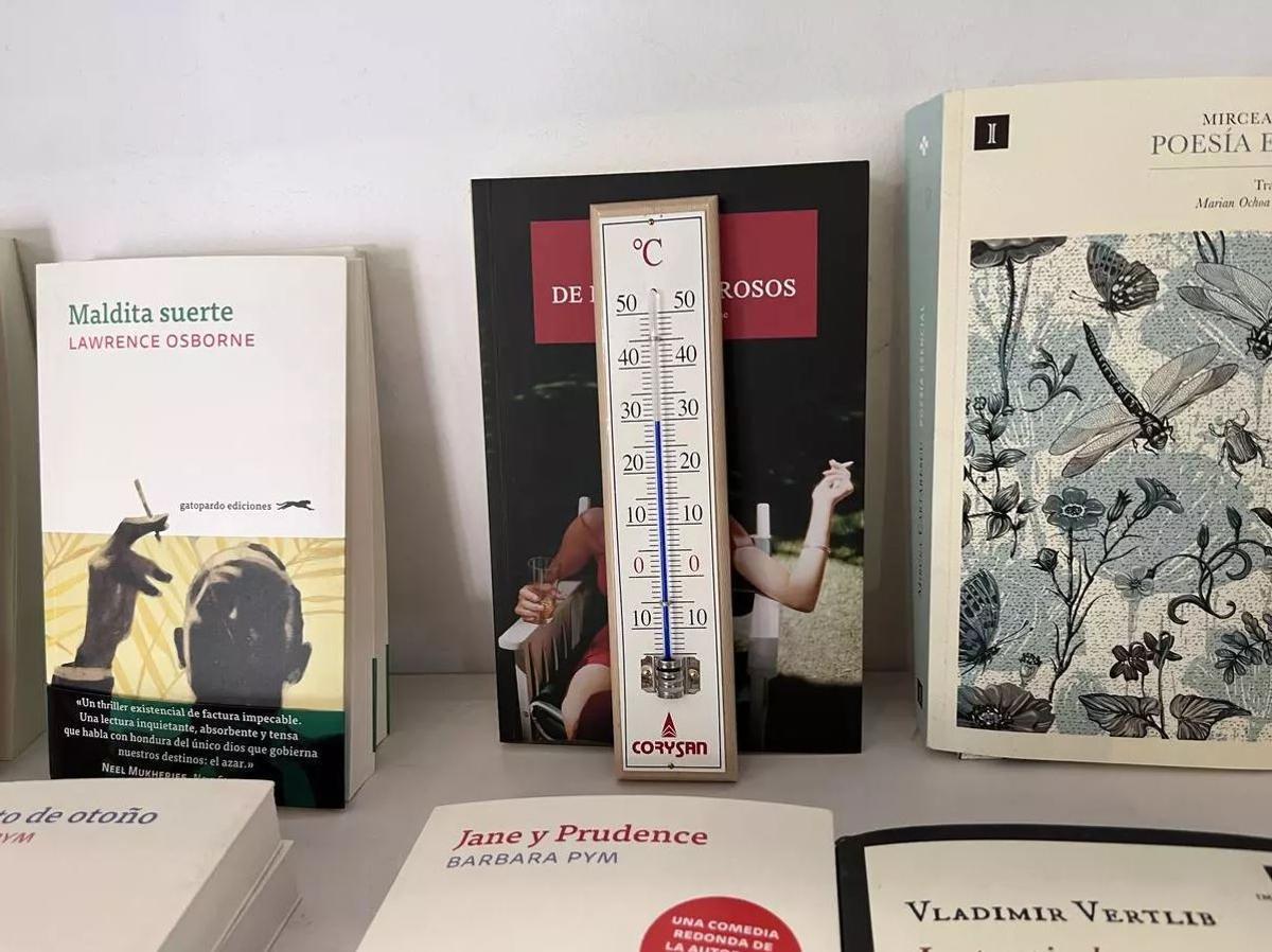 El termómetro marca los 30 grados dentro de la librería del museo a las 11 de la mañana