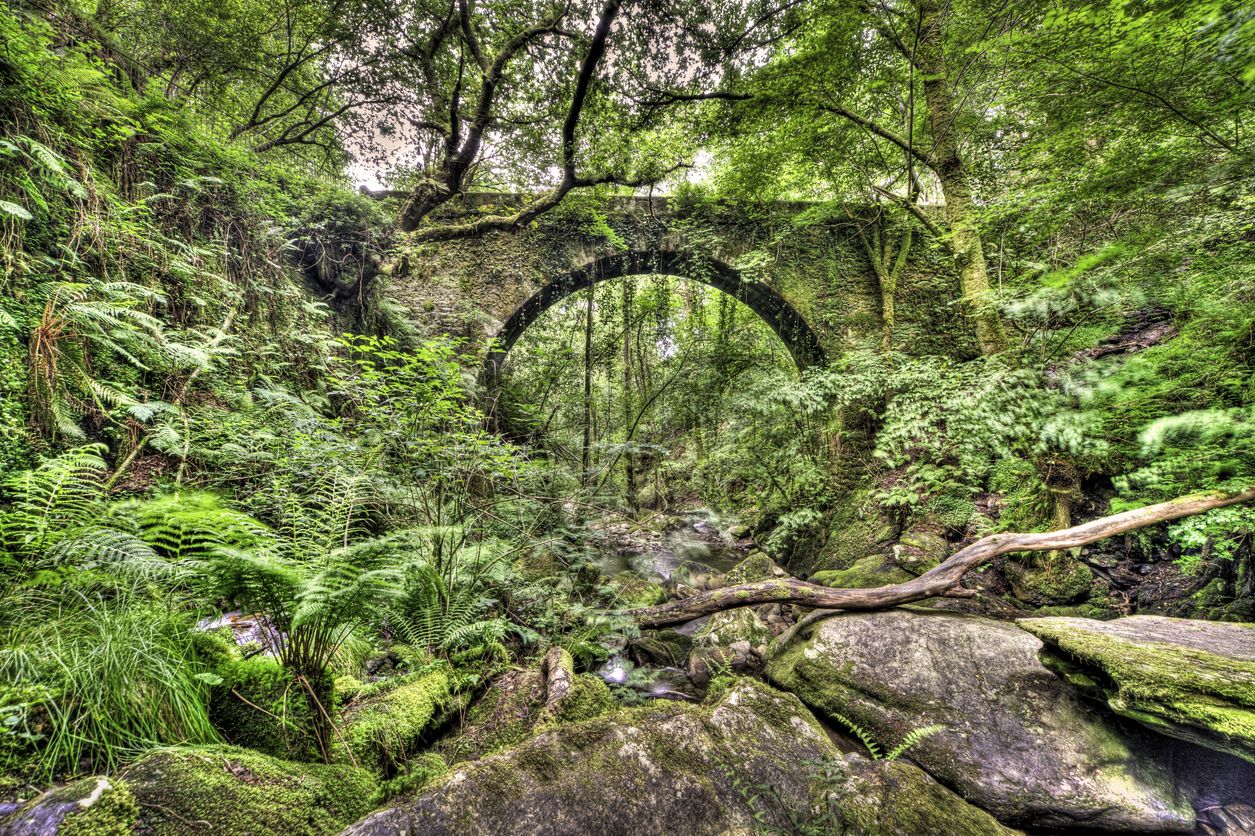 Cerca del monasterio se hallan las Ruínas do Muíño Sesín, un antiguo puente romano