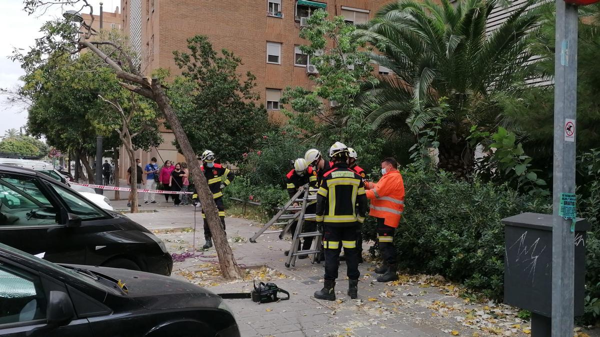 Un árbol cae sobre una mujer en València