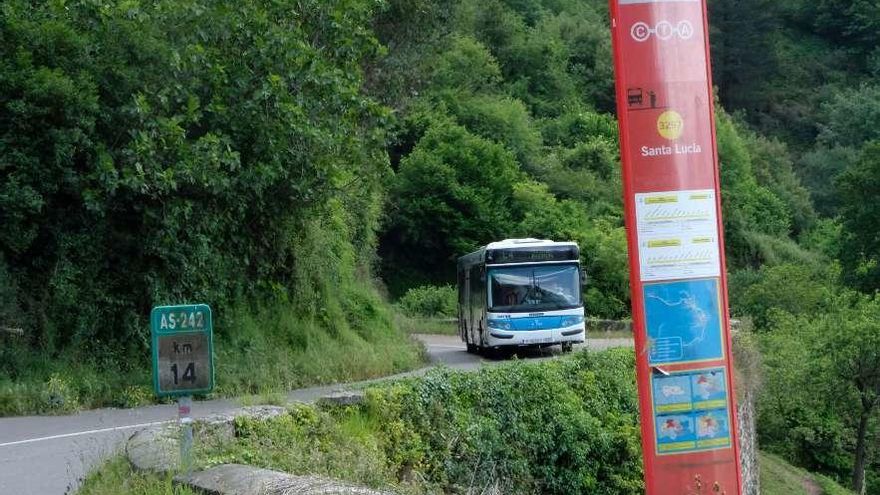 Un autobús municipal, en la carretera del Padrún.