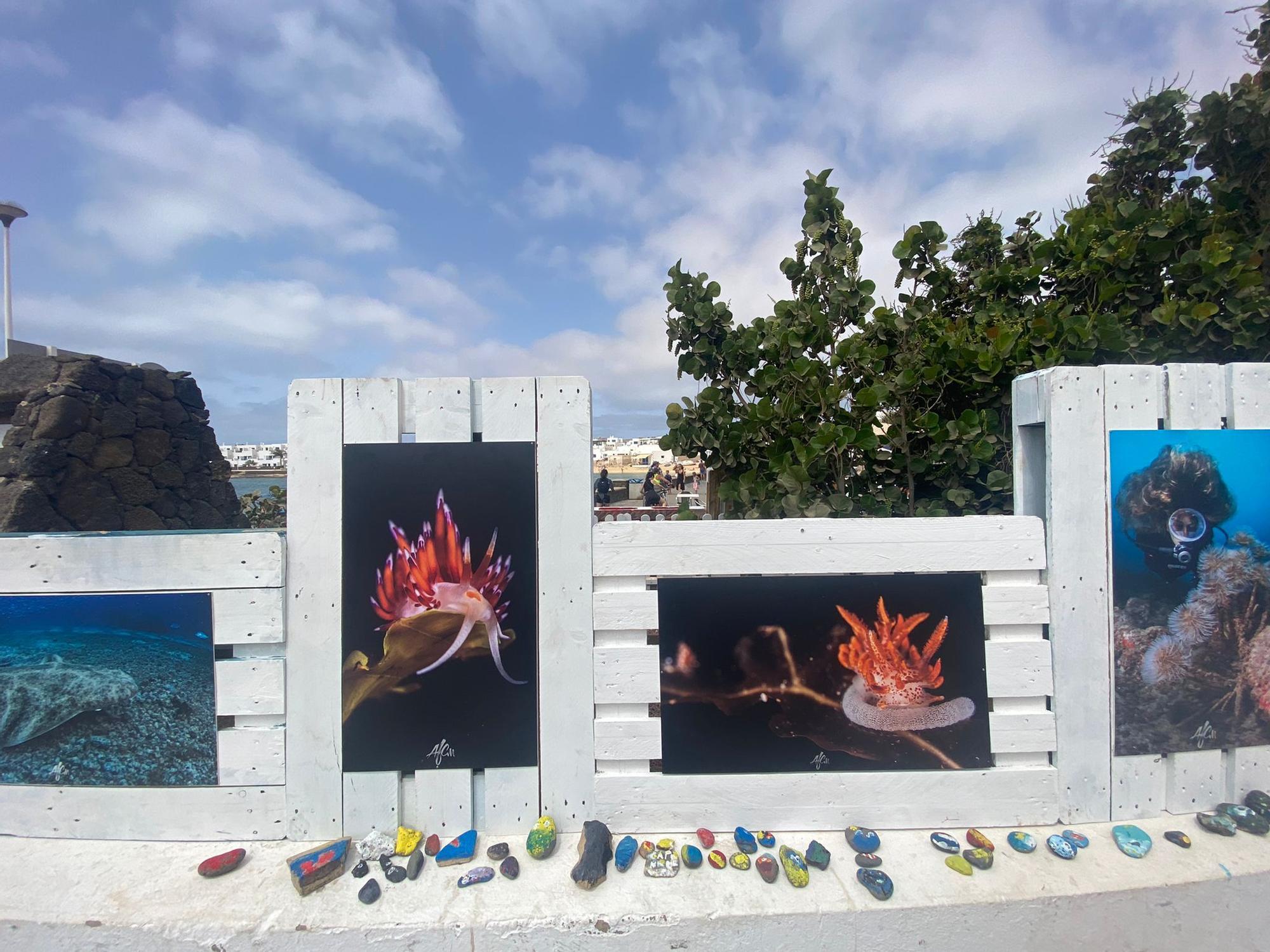 Exposición La Graciosa bajo el mar