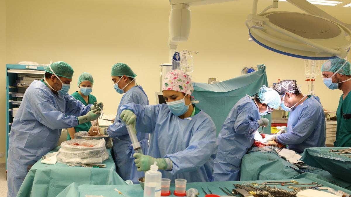 Operación en el quirófano del hospital Can Misses de Ibiza.