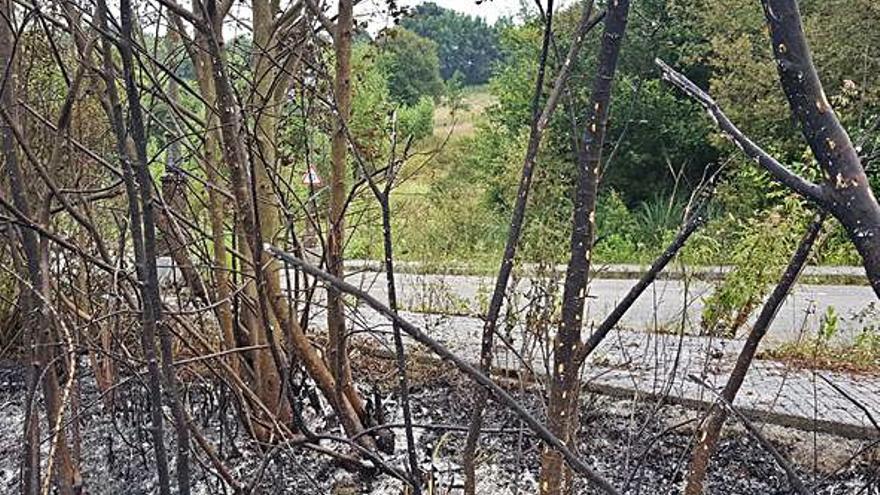 Parte de los destrozos del último incendio.