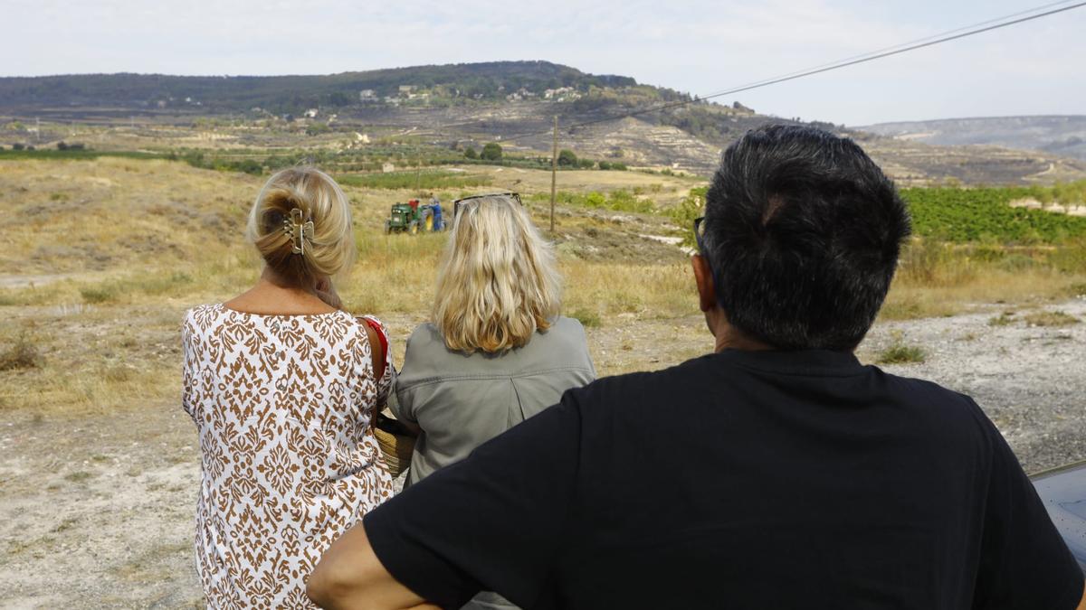 Los vecinos del Santuario de la Misericordia, el único núcleo urbano que no había sido realojado en la mañana de este miércoles, observan el negro paisaje que dejó el avance de las llamas.