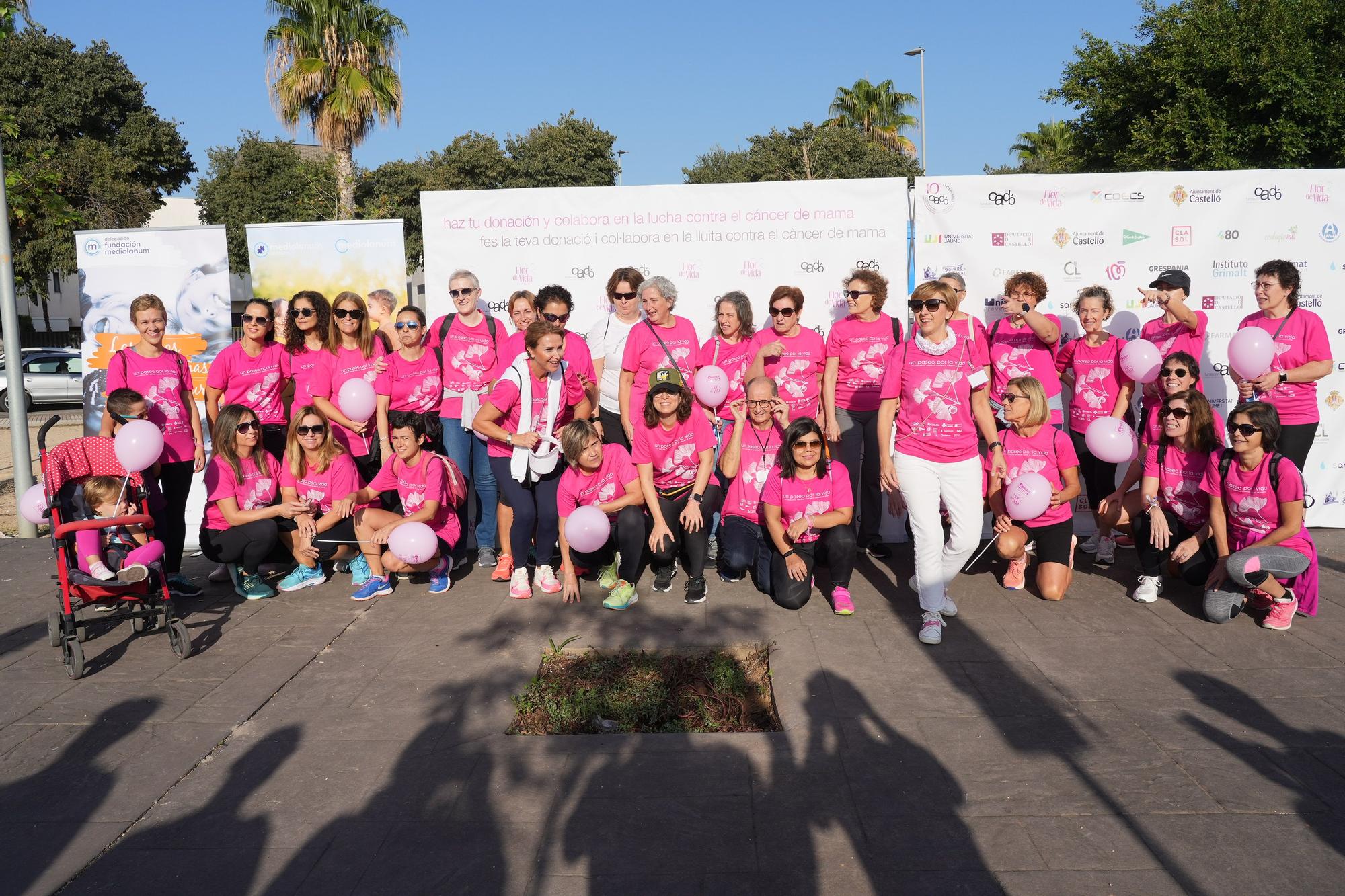 Búscate en la Marcha Contra el Cáncer de Mama de Castelló