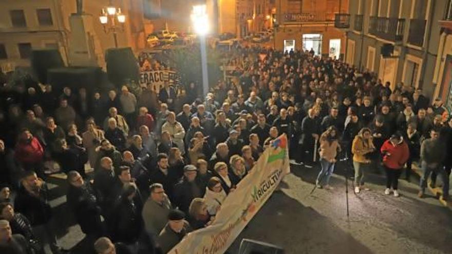 Clamor en la Safor en defensa de la naranja