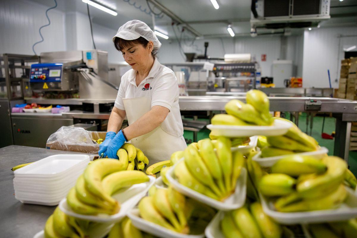 Nave de envasado de fruta de Valverde.