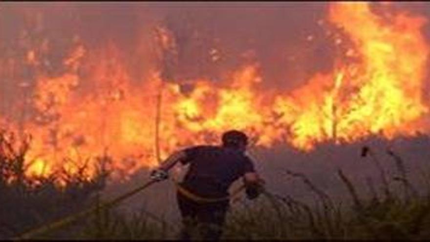 Decretada la preemergencia por riesgo de incendios forestales en Alicante e interior de Valencia