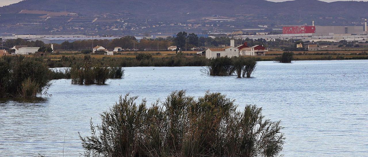 Panorámica del lago de l’Albufera para el que la Generalitat reclama aportes en cantidad y calidad del Xúquer. | M. A. MONTESINOS