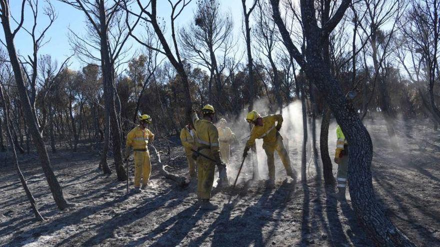 La DGA suspende los trabajos de limpieza y prevención de los montes