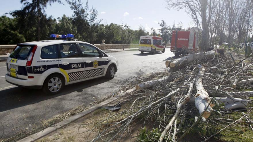 Conducir con viento: lo que hay que tener presente