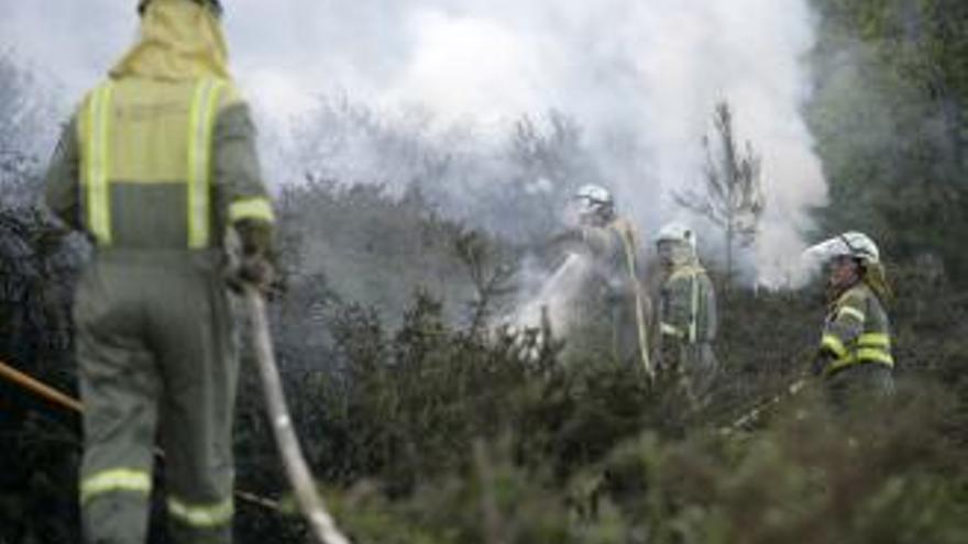 Agentes forestales y medioambientales amenazan con una huelga en verano