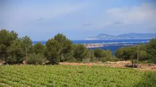 Expertos del campo, la pesca y las empresas de Ibiza debatirán sobre cómo incide en los consumidores el aumento de los costes