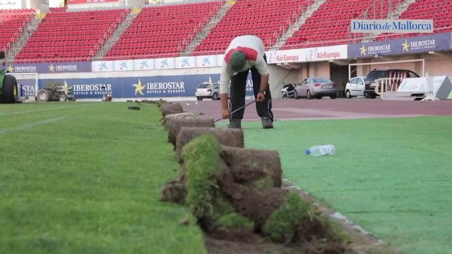 Nuevo césped en Son Moix