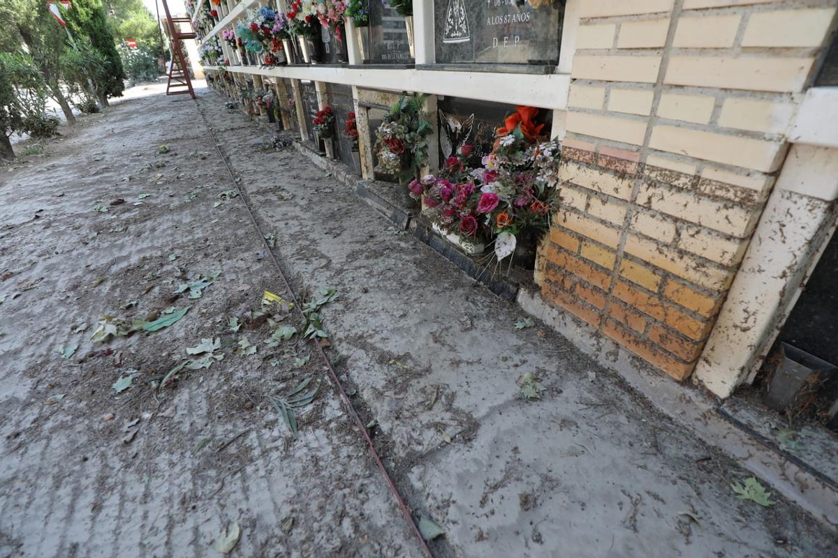 Fotogalería | Grandes daños en el cementerio de Torrero por la tormenta del jueves