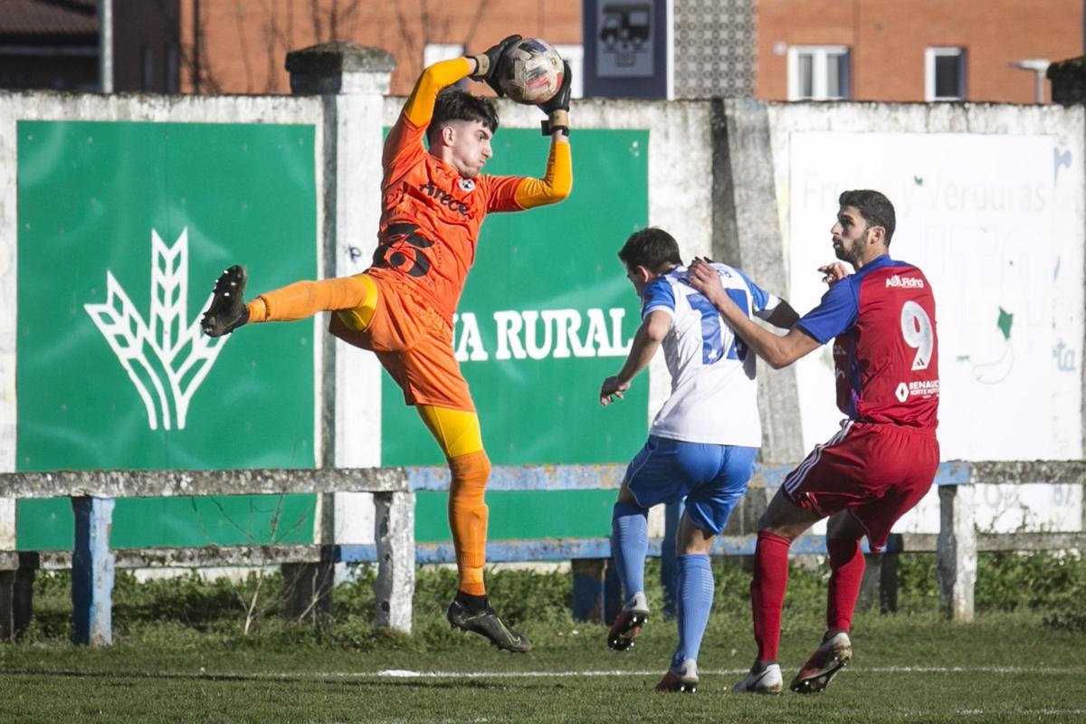 Mosconia Ceares 3.jpg