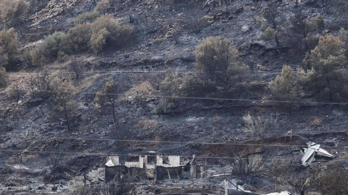 Imagen de la Vilavella, afectada por el incendio de la Vall d'Uixó.