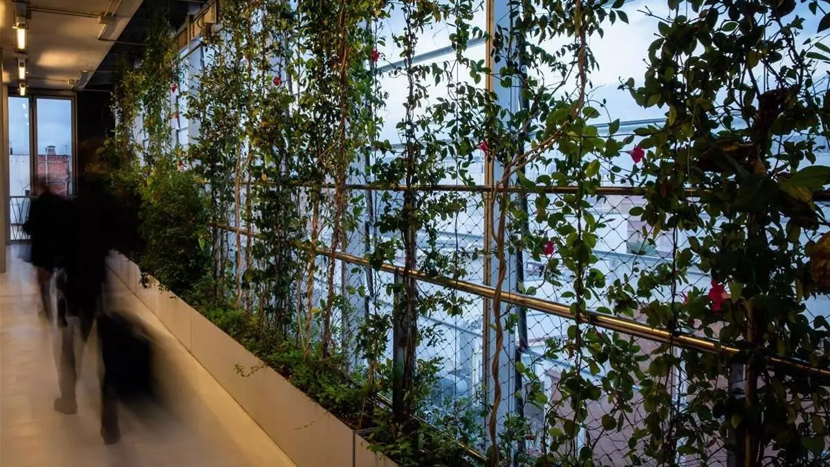 Vil·la Urània: divulgación científica y arte textil