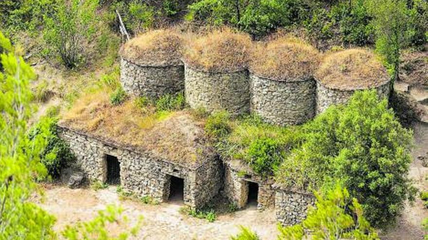 El Pla de Bages, un indret per assaborir el patrimoni vinícola  | BAGES TURISME