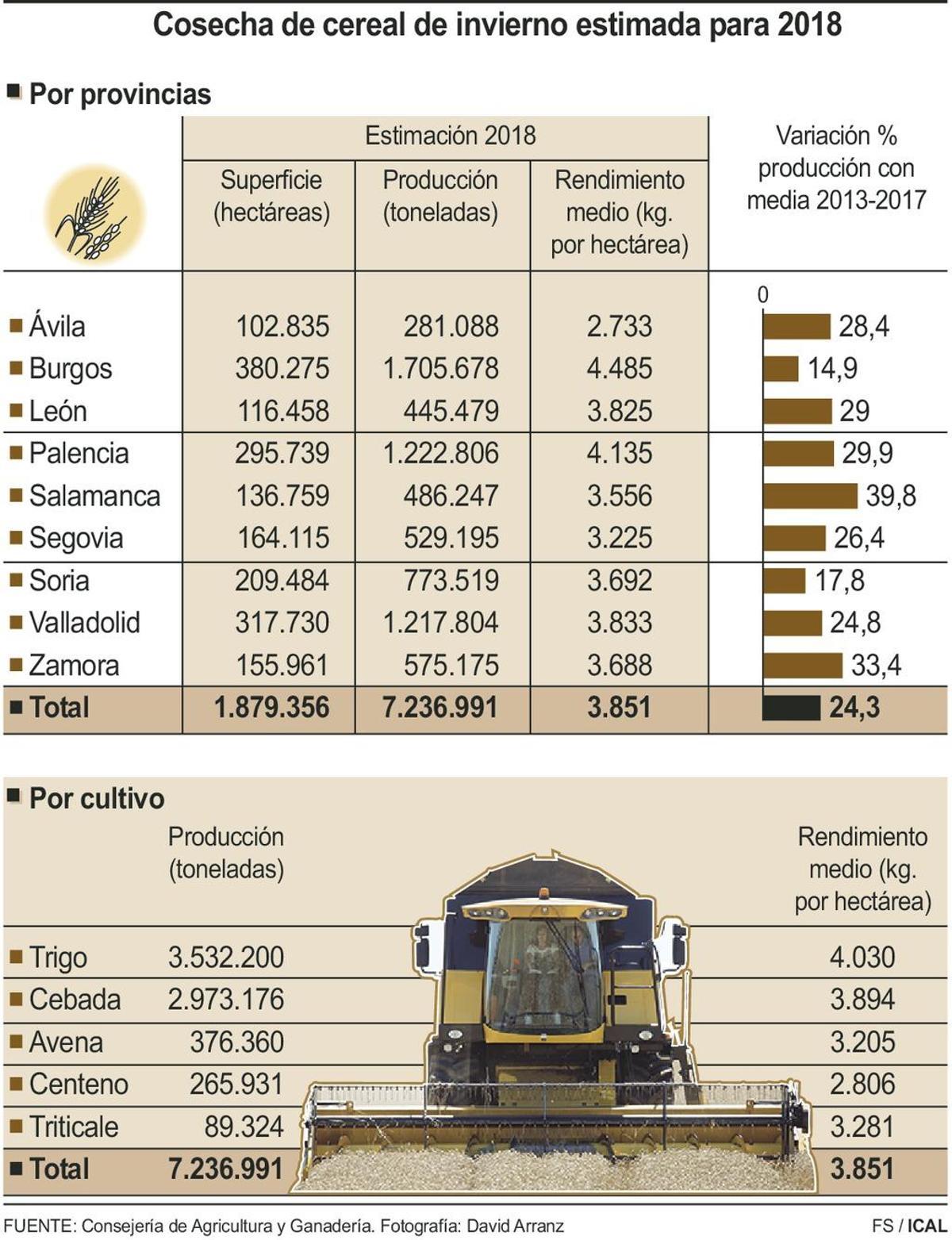 Castilla y León cosechará este verano siete millones de toneladas de cereal