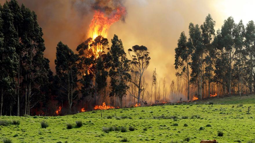Incendios forestales en Asturias: los bomberos luchan contras las llamas en Nava, Illano y Aller