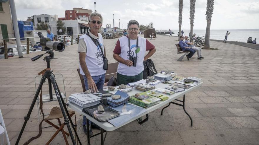 El Molinar celebra el Día de las Aves