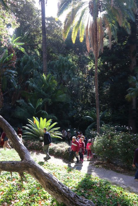 Afluencia masiva de público al botánico con motivo del mercado navideño que ofrecía, además, la posibilidad de visitar de forma gratuita, los jardines