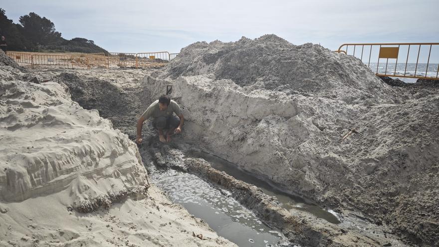 Hallan en Son Coletes seis nuevas víctimas mientras que en sa Coma las excavaciones concluyen sin localizar restos