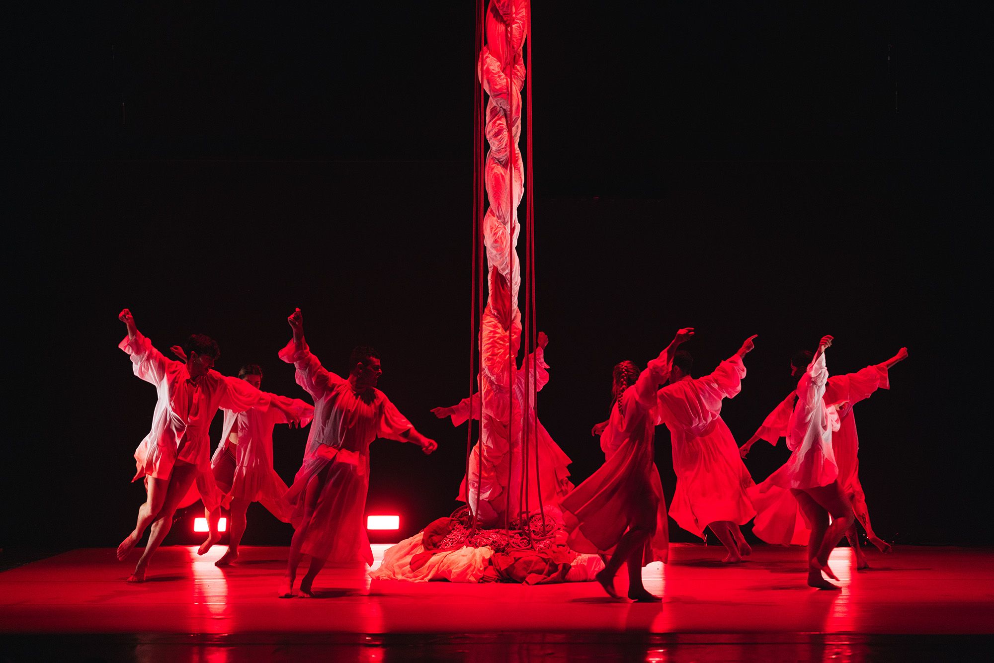 Elenco de bailadores del espectáculo “Ceibe”, de la compañía de danza de Fran Sieira.  Aigi Boga (9).jpg