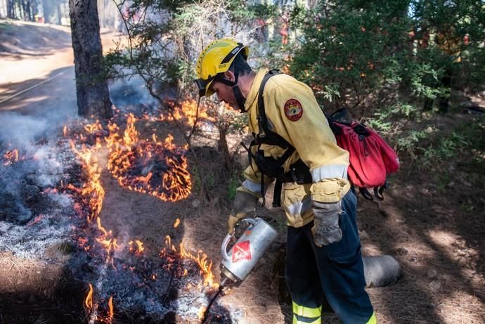 La UME realiza prácticas de prevención de incendios en Gran Canaria