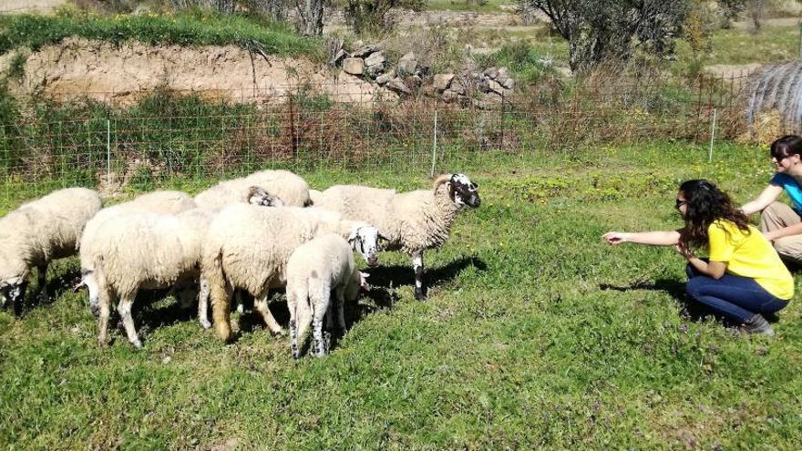 Premi a l&#039;Escola Agrària de Manresa com a pionera de l&#039;agricultura ecològica