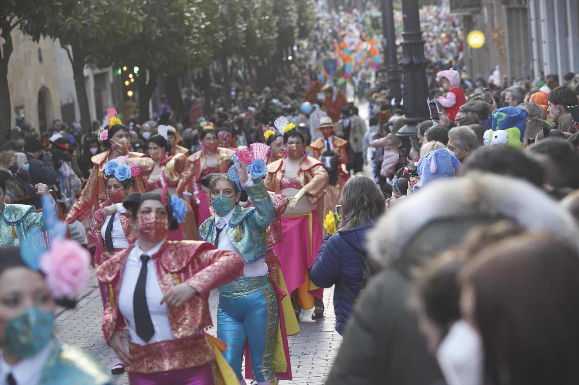 Galería de fotos: Así fue el gran desfile del carnaval en Oviedo