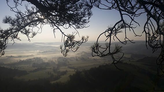 Boirines. Com una teranyina es posa aquesta fina boira sobre Navès i Olius, al Solsonès. Foto feta des de Sant Bartomeu, mirador de Solsona.