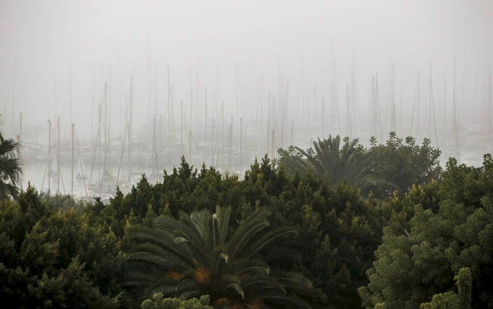 La niebla cubre Mallorca y no se irá hasta mañana