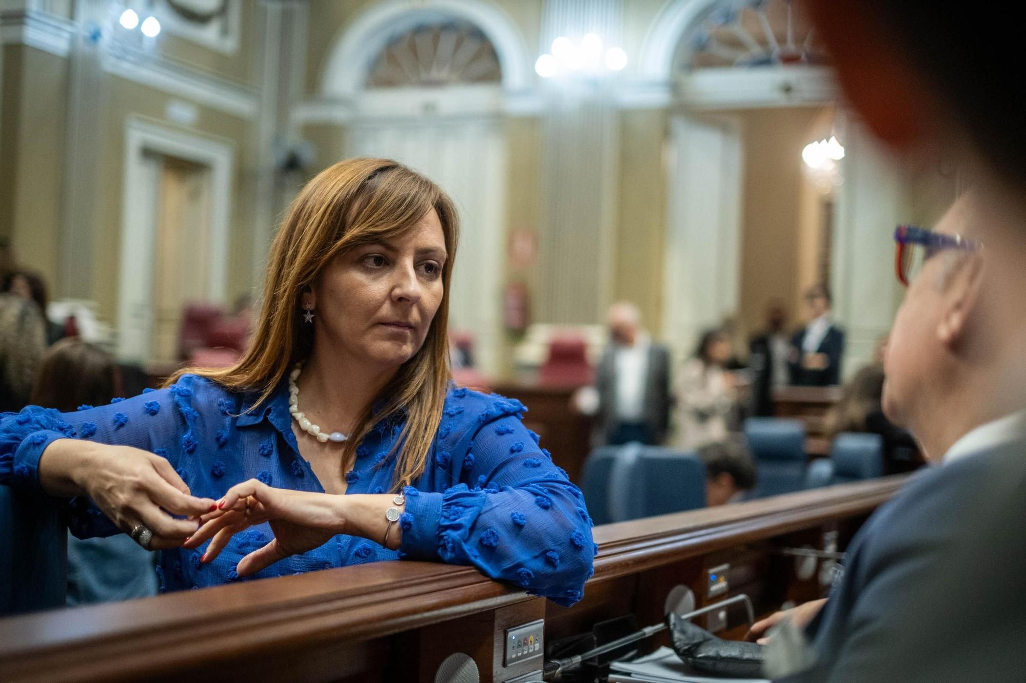 Pleno del Parlamento de Canarias (12.12.09)