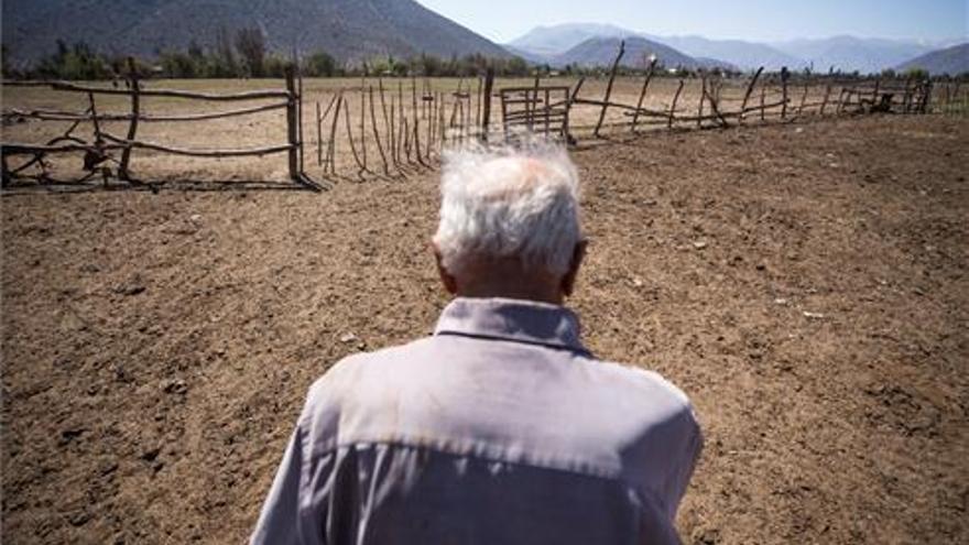 La Unión: La Junta anticipará el 31,5% de las ayudas PAC y no el 70 prometido