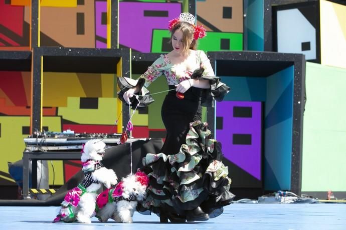 24.02.19. Las Palmas de Gran Canaria. Carnaval 2019. Concurso Carnaval Canino 2019. Laura Svenson, presenta a Kity Dolar, con la fantasía "Bulería". Foto Quique Curbelo